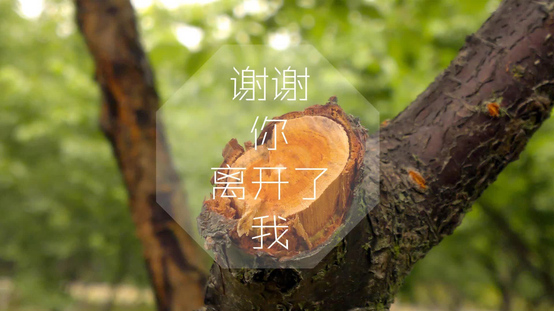 品牌推广岗位职责内容(品牌推广岗位职责内容有哪些)